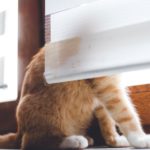 Window Treatments Ontario Covers Canada